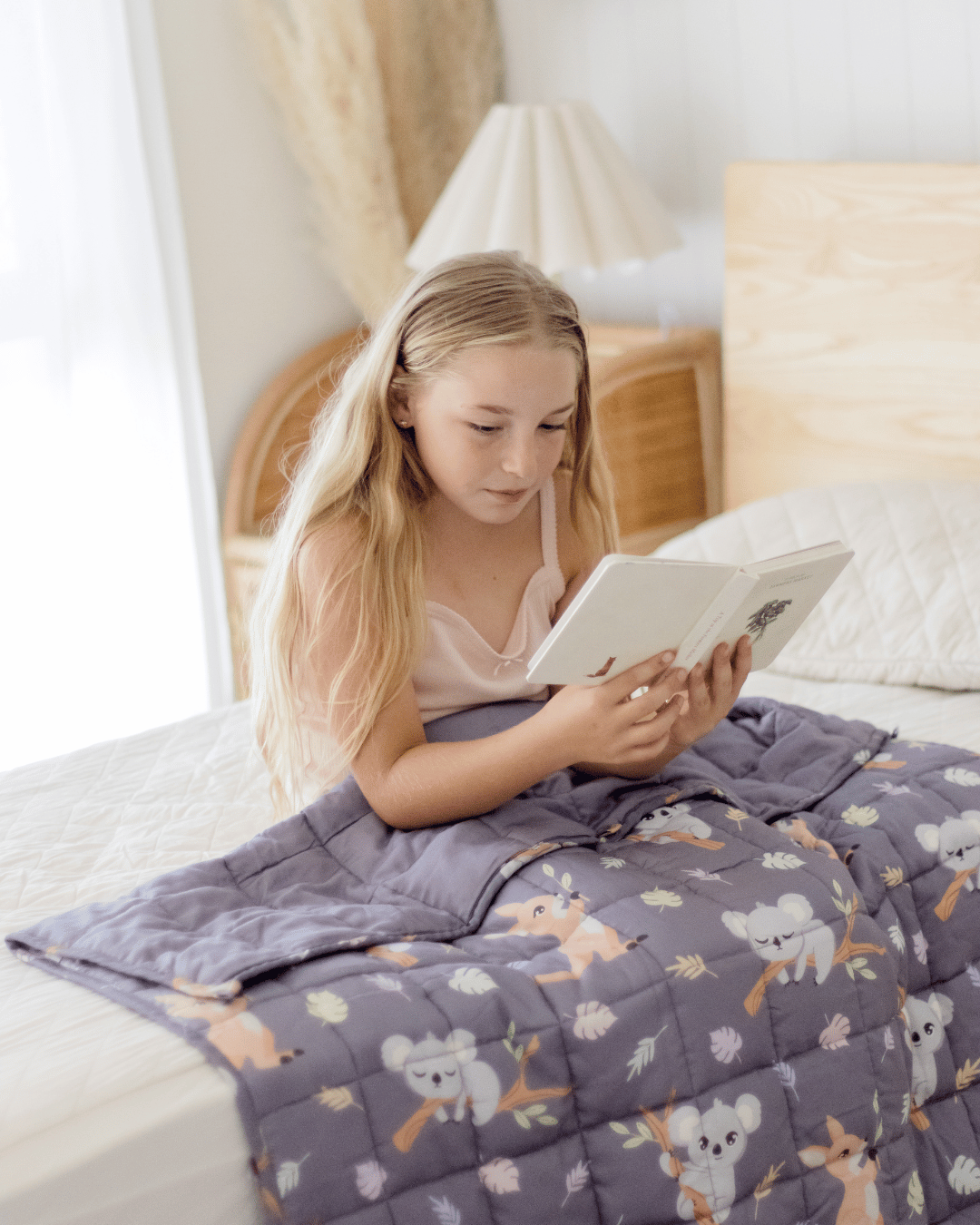 Dinosaur Weighted Blanket