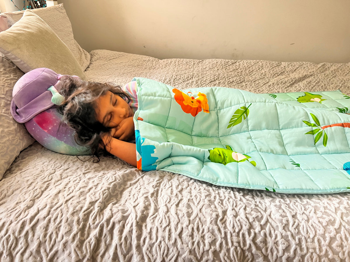 Dinosaur Weighted Blanket
