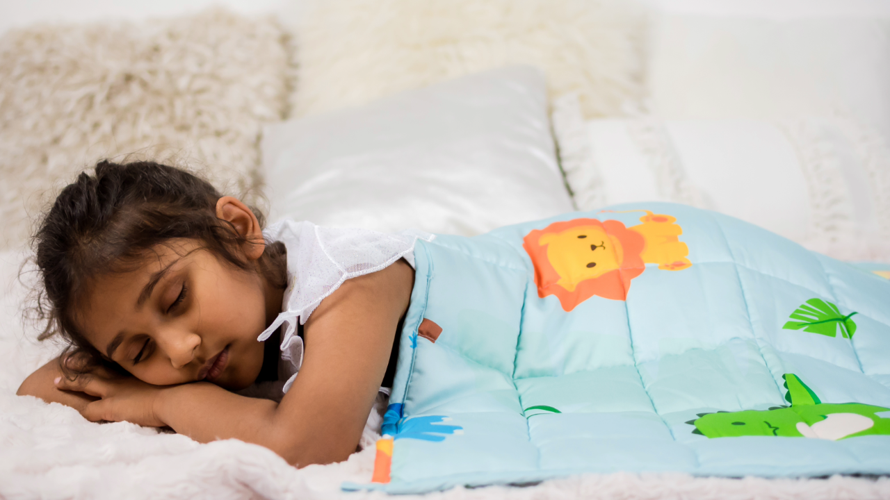 Dinasour Weighted Blankets